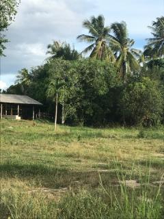 ขายที่ดินวิวธรรมชาติ เจ้าของขายเอง 1 ไร่ 2 งาน ตำบลเขากระปุก อำเภอท่ายาง จังหวัดเพชรบุรี  ที่ตั้ง : ตำบลเขากระปุก อำเภอท่ายาง จังหวัดเพชรบุรี 76130 https://maps.app.goo.gl/wN72L4V29P73f3nF8?g_st=ipc  ขนาดที่ดิน : 1 ไร่ 2 งาน  รายละเอียด ที่ดิน 1 ไร่ 