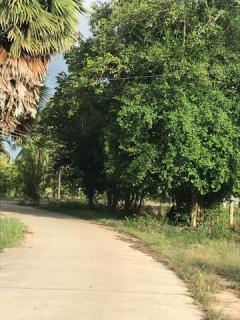 ขายที่ดินวิวธรรมชาติ เจ้าของขายเอง 1 ไร่ 2 งาน ตำบลเขากระปุก อำเภอท่ายาง จังหวัดเพชรบุรี  ที่ตั้ง : ตำบลเขากระปุก อำเภอท่ายาง จังหวัดเพชรบุรี 76130 https://maps.app.goo.gl/wN72L4V29P73f3nF8?g_st=ipc  ขนาดที่ดิน : 1 ไร่ 2 งาน  รายละเอียด ที่ดิน 1 ไร่ -202510111056351760154995068.jpg