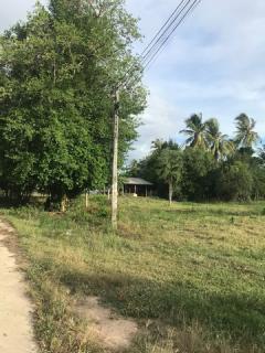 ขายที่ดินวิวธรรมชาติ เจ้าของขายเอง 1 ไร่ 2 งาน ตำบลเขากระปุก อำเภอท่ายาง จังหวัดเพชรบุรี  ที่ตั้ง : ตำบลเขากระปุก อำเภอท่ายาง จังหวัดเพชรบุรี 76130 https://maps.app.goo.gl/wN72L4V29P73f3nF8?g_st=ipc  ขนาดที่ดิน : 1 ไร่ 2 งาน  รายละเอียด ที่ดิน 1 ไร่ -202510111056381760154998056.jpg