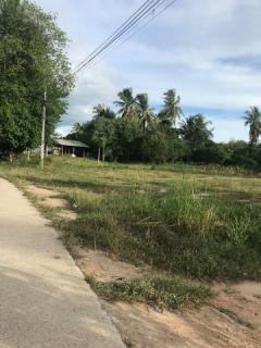 ขายที่ดินวิวธรรมชาติ เจ้าของขายเอง 1 ไร่ 2 งาน ตำบลเขากระปุก อำเภอท่ายาง จังหวัดเพชรบุรี  ที่ตั้ง : ตำบลเขากระปุก อำเภอท่ายาง จังหวัดเพชรบุรี 76130 https://maps.app.goo.gl/wN72L4V29P73f3nF8?g_st=ipc  ขนาดที่ดิน : 1 ไร่ 2 งาน  รายละเอียด ที่ดิน 1 ไร่ -202510111056401760155000656.jpg