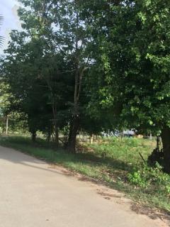 ขายที่ดินวิวธรรมชาติ เจ้าของขายเอง 1 ไร่ 2 งาน ตำบลเขากระปุก อำเภอท่ายาง จังหวัดเพชรบุรี  ที่ตั้ง : ตำบลเขากระปุก อำเภอท่ายาง จังหวัดเพชรบุรี 76130 https://maps.app.goo.gl/wN72L4V29P73f3nF8?g_st=ipc  ขนาดที่ดิน : 1 ไร่ 2 งาน  รายละเอียด ที่ดิน 1 ไร่ -202510111056511760155011252.jpg