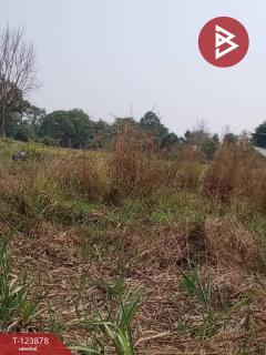 ขายที่ดิน เนื้อที่ 4 ไร่ 1 งาน 80 ตร.วา เวียงเก่า ขอนแก่น-202510111135461760157346053.jpg