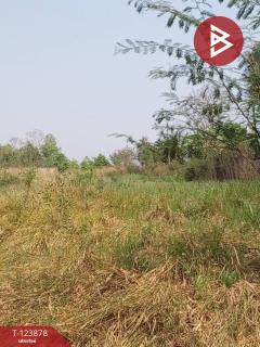 ขายที่ดิน เนื้อที่ 4 ไร่ 1 งาน 80 ตร.วา เวียงเก่า ขอนแก่น-202510111135471760157347075.jpg