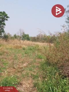 ขายที่ดิน เนื้อที่ 4 ไร่ 1 งาน 80 ตร.วา เวียงเก่า ขอนแก่น-202510111135471760157347585.jpg