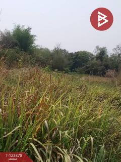 ขายที่ดิน เนื้อที่ 4 ไร่ 1 งาน 80 ตร.วา เวียงเก่า ขอนแก่น-202510111135491760157349147.jpg