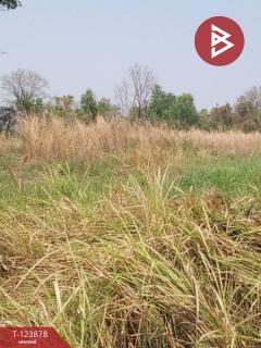 ขายที่ดิน เนื้อที่ 4 ไร่ 1 งาน 80 ตร.วา เวียงเก่า ขอนแก่น-202510111135491760157349657.jpg