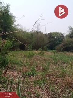 ขายที่ดิน เนื้อที่ 4 ไร่ 1 งาน 80 ตร.วา เวียงเก่า ขอนแก่น-202510111135501760157350164.jpg