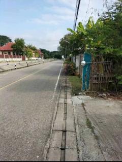 นักลงทุนพลาดไม่ได้! ที่ดินทำเลทอง 