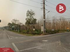 ขายที่ดิน เนื้อที่ 16 ไร่ 2 งาน 52.4 ตร.วา ผาสิงห์ น่าน-202510111511141760170274765.jpg