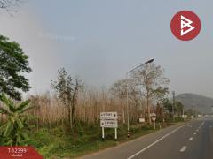 ขายที่ดิน เนื้อที่ 16 ไร่ 2 งาน 52.4 ตร.วา ผาสิงห์ น่าน-202510111511151760170275280.jpg