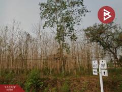 ขายที่ดิน เนื้อที่ 16 ไร่ 2 งาน 52.4 ตร.วา ผาสิงห์ น่าน-202510111511151760170275790.jpg