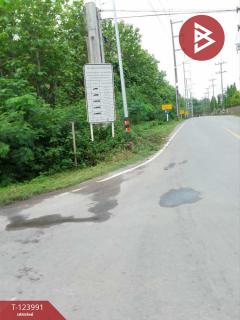 ขายที่ดิน เนื้อที่ 16 ไร่ 2 งาน 52.4 ตร.วา ผาสิงห์ น่าน-202510111511171760170277350.jpg