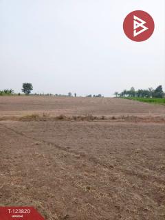 ขายที่ดิน 106 ไร่ 2 งาน 70 ตารางวา หนองหาน อุดรธานี