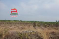 ที่ดินเปล่า ตรงข้ามสนามกอล์ฟเอเวอร์กรีนฮิลล์ เนื้อที่ 1102 ไร่ ตำบลรางสาลี่ อำเภอท่าม่วง กาญจนบุรี-202510111533531760171633735.jpg