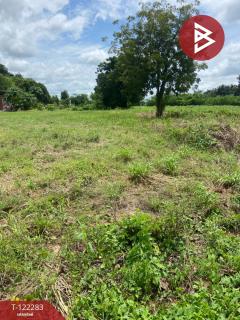 ขายที่ดินถมแล้ว เนื้อที่ 1 ไร่ 2 งาน 6 ตารางวา บึงสามพัน เพชรบูรณ์ ติดถนน-202510111537341760171854970.jpg