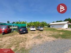 ขายบ้านเดี่ยวพร้อมที่ดิน เนื้อที่ 1 ไร่ พรหมพิราม พิษณุโลก-202510111714381760177678054.jpg