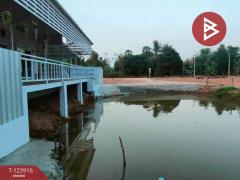 ขายบ้านเดี่ยวพร้อมที่ดิน เนื้อที่ 1 ไร่ พรหมพิราม พิษณุโลก-202510111714391760177679108.jpg