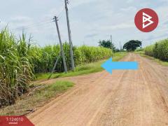  ขายที่ดิน เนื้อที่ 5 ไร่ 48.8 ตร.วา ศรีเทพ เพชรบูรณ์-202510111720531760178053483.jpg