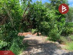 ขายที่ดิน-เนื้อที่-21-ไร่-1-งาน-41-ตร.วา-บ