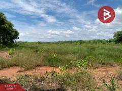 ขายที่ดิน เนื้อที่ 21 ไร่ 1 งาน 41 ตร.วา บางกะจะ จันทบุรี-202510112226381760196398558.jpg