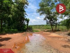 ขายที่ดิน เนื้อที่ 21 ไร่ 1 งาน 41 ตร.วา บางกะจะ จันทบุรี-202510112226391760196399602.jpg