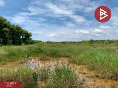 ขายที่ดิน เนื้อที่ 21 ไร่ 1 งาน 41 ตร.วา บางกะจะ จันทบุรี-202510112226401760196400651.jpg