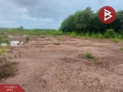 ขายที่ดิน เนื้อที่ 21 ไร่ 1 งาน 41 ตร.วา บางกะจะ จันทบุรี-202510112226421760196402212.jpg