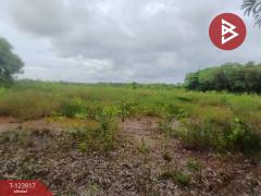 ขายที่ดิน เนื้อที่ 21 ไร่ 1 งาน 41 ตร.วา บางกะจะ จันทบุรี-202510112226421760196402730.jpg