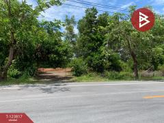 ขายที่ดิน เนื้อที่ 21 ไร่ 1 งาน 41 ตร.วา บางกะจะ จันทบุรี-202510112226431760196403246.jpg