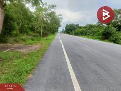 ขายที่ดิน เนื้อที่ 21 ไร่ 1 งาน 41 ตร.วา บางกะจะ จันทบุรี-202510112226431760196403768.jpg