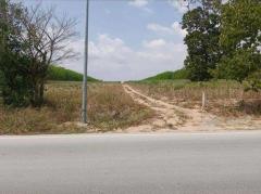 ขายที่ดินนิคมพัฒนา ระยอง 69 ไร่ 3งาน 43ตร.ว ใกล้นิคมอุตสาหกรรม WHA 36 ระยอง-202510112349561760201396608.jpg