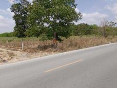 ขายที่ดินนิคมพัฒนา ระยอง 69 ไร่ 3งาน 43ตร.ว ใกล้นิคมอุตสาหกรรม WHA 36 ระยอง-202510112350041760201404708.jpg