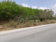 ขายที่ดินนิคมพัฒนา ระยอง 69 ไร่ 3งาน 43ตร.ว ใกล้นิคมอุตสาหกรรม WHA 36 ระยอง-202510112350091760201409118.jpg