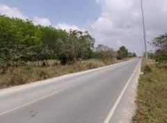 ขายที่ดินนิคมพัฒนา ระยอง 69 ไร่ 3งาน 43ตร.ว ใกล้นิคมอุตสาหกรรม WHA 36 ระยอง-202510112350191760201419458.jpg