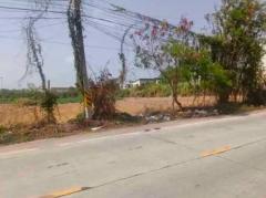 ขายที่ดินศรีราชา ชลบุรี 16 ไร่เศษ ติดถนนหนองยายบู่ ใกล้นิคมอุตสาหกรรมปิ่นทอง 2-202510120113211760206401335.jpg