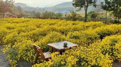 บ้านเดี่ยวหรูสไตล์ตะวันตก ท่ามกลางธรรมชาติ พร้อมวิวภูเขาแบบพาโนรามา 360 องศา อ.แม่ริม เชียงใหม่-202510120740171760229617436.jpg