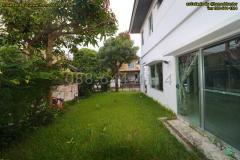 ขายบ้านเดี่ยว สีวลี บางนา กม.14 เขตบางพลี จ.สมุทรปราการ ใกล้เมกะบางนา สุวรรณภูมิ & ทางด่วนบูรพาวิถี-202510121017231760239043303.jpg