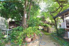 ขายที่ดินเปล่าใจกลาง “ดุสิต” ซอยร่วมจิตต์ 3 ถนนพิชัย ผังสีน้ำตาล ย.8-6-202510121033291760240009003.jpg