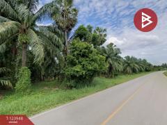 ขายที่ดิน เนื้อที่ 7 ไร่ 3.3 ตารางวา อ.พุนพิน จ.สุราษฎร์ธานี-202510121043211760240601846.jpg