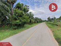 ขายที่ดิน เนื้อที่ 7 ไร่ 3.3 ตารางวา อ.พุนพิน จ.สุราษฎร์ธานี-202510121043221760240602406.jpg