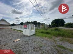 ขายบ้านเดี่ยวชั้นเดียว เนื้อที่ 98 ตารางวา ต.สนามชัย สุพรรณบุรี-202510121115391760242539140.jpg