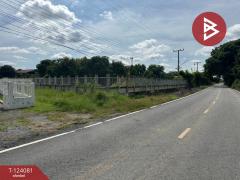 ขายบ้านเดี่ยวชั้นเดียว เนื้อที่ 98 ตารางวา ต.สนามชัย สุพรรณบุรี-202510121115401760242540171.jpg