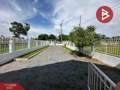 ขายบ้านเดี่ยวชั้นเดียว เนื้อที่ 98 ตารางวา ต.สนามชัย สุพรรณบุรี-202510121115401760242540708.jpg