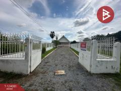 ขายบ้านเดี่ยวชั้นเดียว เนื้อที่ 98 ตารางวา ต.สนามชัย สุพรรณบุรี-202510121115441760242544383.jpg