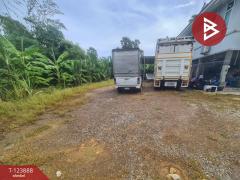 ขายบ้านเดี่ยว เนื้อที่ 1 งาน 69 ตารางวา สามเรือน ราชบุรี-202510121203301760245410871.jpg