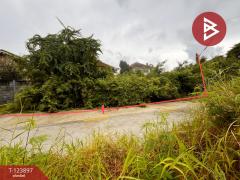 ขายที่ดิน-เนื้อที่-100-ตารางวา-บ้านปึก