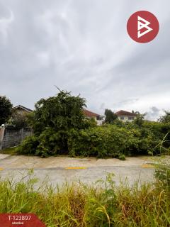 ขายที่ดิน เนื้อที่ 100 ตารางวา บ้านปึก ชลบุรี-202510121223551760246635205.jpg