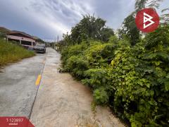 ขายที่ดิน เนื้อที่ 100 ตารางวา บ้านปึก ชลบุรี-202510121223561760246636821.jpg