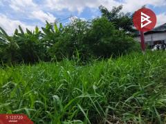 ขายที่ดิน เนื้อที่ 1 งาน 61.7 ตารางวา พระประแดง สมุทรปราการ-202510121306431760249203992.jpg