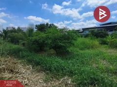 ขายที่ดิน เนื้อที่ 1 งาน 61.7 ตารางวา พระประแดง สมุทรปราการ-202510121306441760249204527.jpg